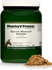 Equine Mobility Support