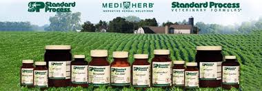 Standard Process Order Online